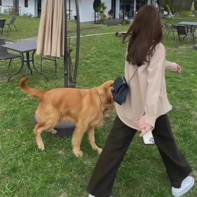 纽约遇到爱
