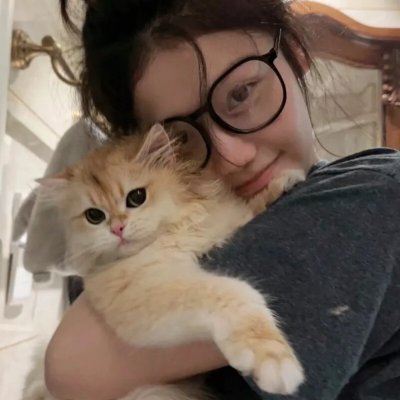 猫物件 电影版